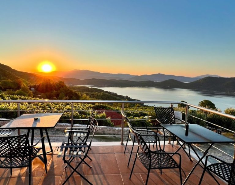 Οινοποιείο Βρυνιώτης στα Γιάλτρα