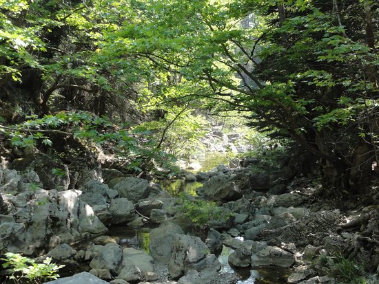 Πεζοπορία στους καταράκτες της Δρυμώνας κοντά στα Γιάλτρα